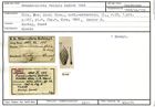Karteikarte zum Holotyp von Frondicularia foliula Karrer, 1868